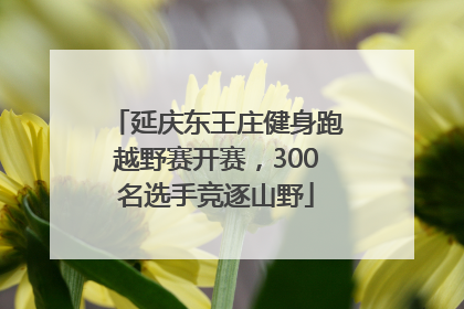 延庆东王庄健身跑越野赛开赛，300名选手竞逐山野