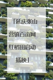 延庆张山营镇百亩网红稻田启动插秧