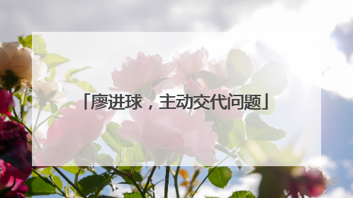 廖进球，主动交代问题