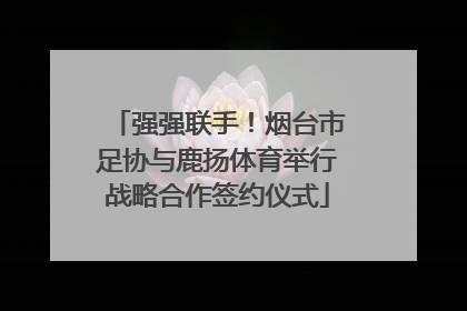强强联手！烟台市足协与鹿扬体育举行战略合作签约仪式