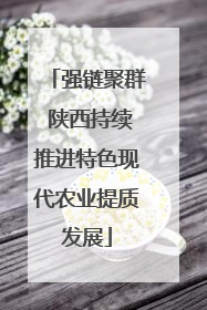 强链聚群 陕西持续推进特色现代农业提质发展