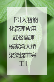 引入智能化管理应用 武松高速杨家湾大桥架梁提前完工