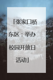 张家口桥东区：举办校园开放日活动