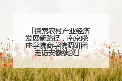 探索农村产业经济发展新路径，南京晓庄学院商学院调研团走访安徽绩溪