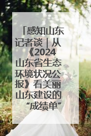 感知山东记者谈｜从《2024山东省生态环境状况公报》看美丽山东建设的“成绩单”与“任务书”