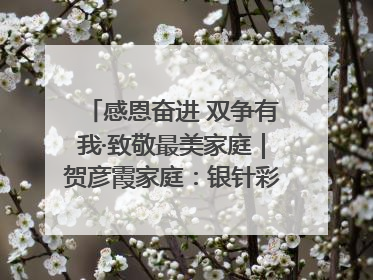 感恩奋进 双争有我·致敬最美家庭｜贺彦霞家庭：银针彩线绣出好日子