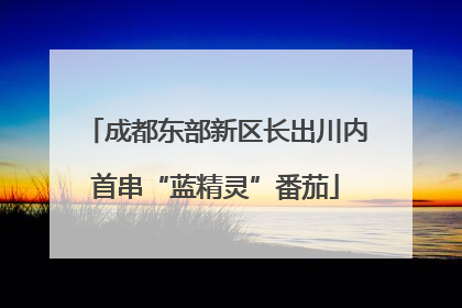成都东部新区长出川内首串“蓝精灵”番茄