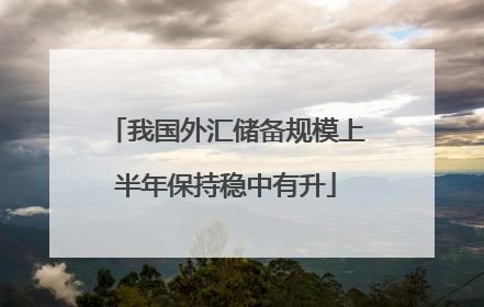我国外汇储备规模上半年保持稳中有升