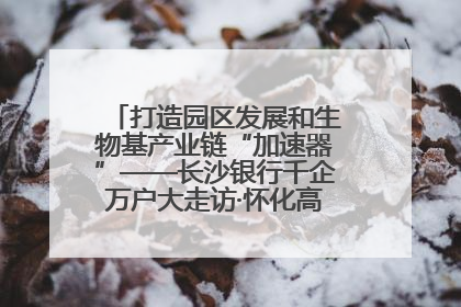 打造园区发展和生物基产业链“加速器”——长沙银行千企万户大走访·怀化高新区、生物基产业链专场活动举行