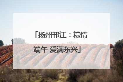 扬州邗江：粽情端午 爱满东兴