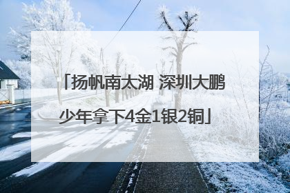 扬帆南太湖 深圳大鹏少年拿下4金1银2铜