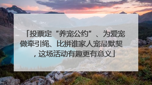 投票定“养宠公约”、为爱宠做牵引绳、比拼谁家人宠最默契，这场活动有趣更有意义