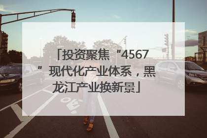 投资聚焦“4567”现代化产业体系，黑龙江产业换新景