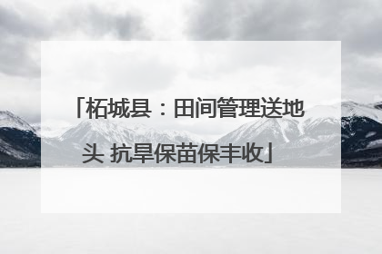 柘城县：田间管理送地头 抗旱保苗保丰收