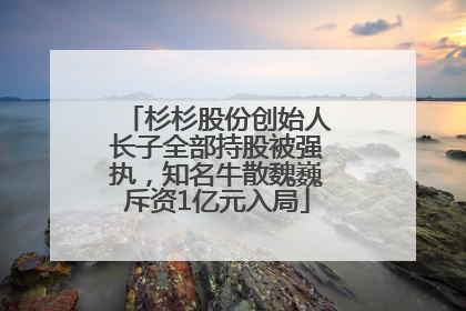 杉杉股份创始人长子全部持股被强执，知名牛散魏巍斥资1亿元入局
