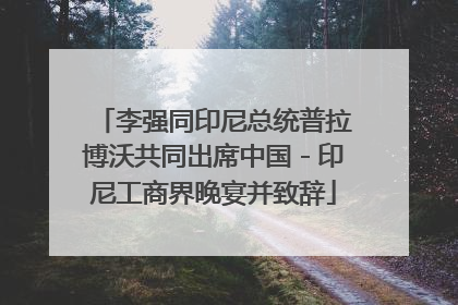 李强同印尼总统普拉博沃共同出席中国－印尼工商界晚宴并致辞