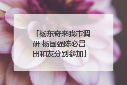 杨东奇来我市调研 杨国强陈必昌田和友分别参加