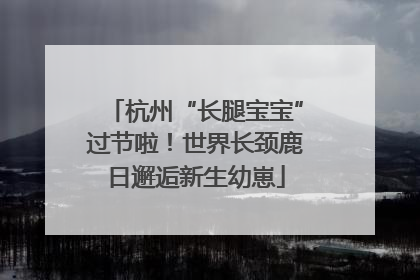杭州“长腿宝宝”过节啦！世界长颈鹿日邂逅新生幼崽