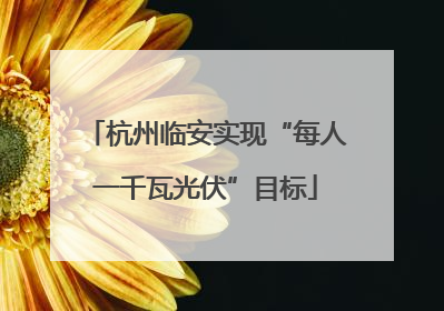 杭州临安实现“每人一千瓦光伏”目标