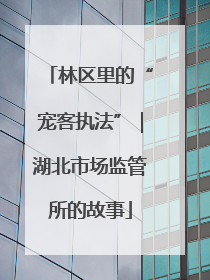 林区里的“宠客执法”｜湖北市场监管所的故事