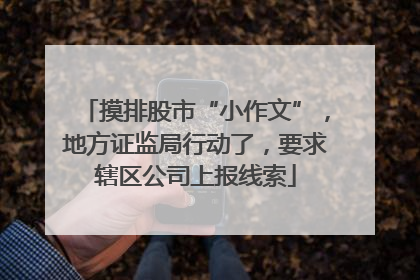 摸排股市“小作文”，地方证监局行动了，要求辖区公司上报线索