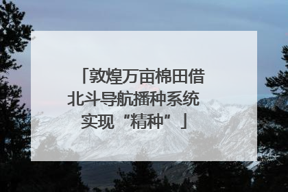 敦煌万亩棉田借北斗导航播种系统实现“精种”