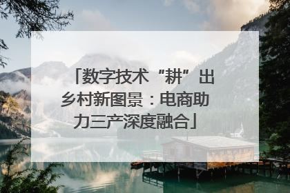 数字技术“耕”出乡村新图景：电商助力三产深度融合