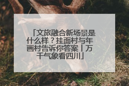 文旅融合新场景是什么样？挂面村与年画村告诉你答案丨万千气象看四川