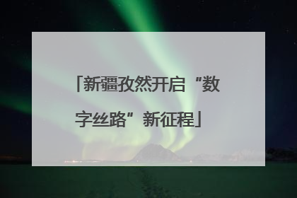 新疆孜然开启“数字丝路”新征程