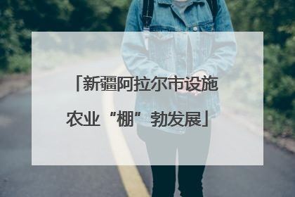 新疆阿拉尔市设施农业“棚”勃发展