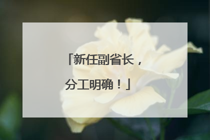 新任副省长，分工明确！