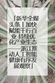 新华全媒头条丨加快赋能千行百业 持续优化产业生态——浙江推动人工智能健康有序发展观察