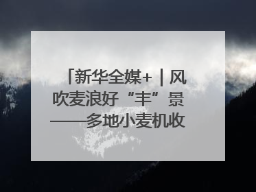 新华全媒+｜风吹麦浪好“丰”景——多地小麦机收一线见闻