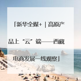 新华全媒+｜高原产品上“云”端——西藏电商发展一线观察