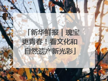 新华鲜报｜瑰宝更青春！看文化和自然遗产新光彩