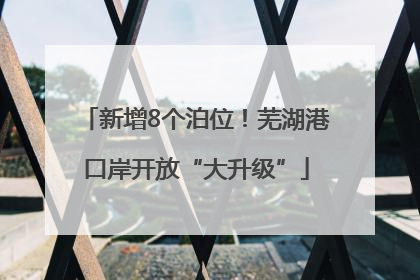 新增8个泊位！芜湖港口岸开放“大升级”