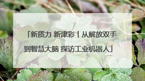 新质力 新津彩丨从解放双手到智慧大脑 探访工业机器人