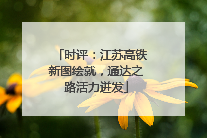 时评：江苏高铁新图绘就，通达之路活力迸发