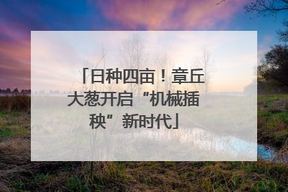 日种四亩！章丘大葱开启“机械插秧”新时代