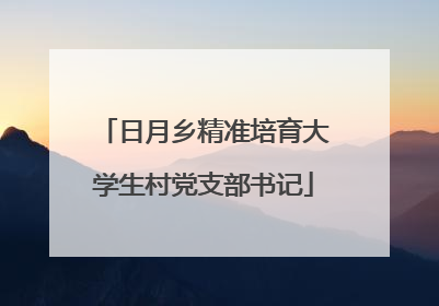 日月乡精准培育大学生村党支部书记