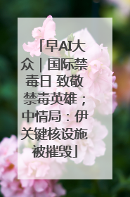 早AI大众｜国际禁毒日 致敬禁毒英雄；中情局：伊关键核设施被摧毁