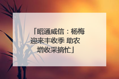 昭通威信：杨梅迎来丰收季 助农增收采摘忙