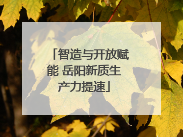 智造与开放赋能 岳阳新质生产力提速