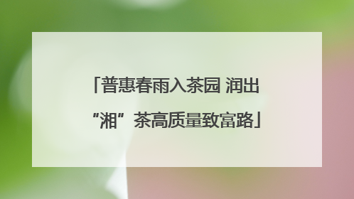 普惠春雨入茶园 润出“湘”茶高质量致富路