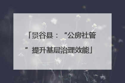 景谷县：“公房社管”提升基层治理效能