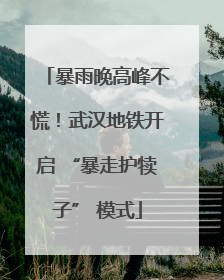 暴雨晚高峰不慌！武汉地铁开启 “暴走护犊子” 模式