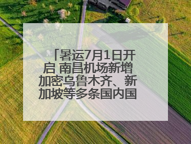 暑运7月1日开启 南昌机场新增加密乌鲁木齐、新加坡等多条国内国际航线