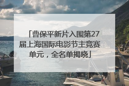 曹保平新片入围第27届上海国际电影节主竞赛单元，全名单揭晓
