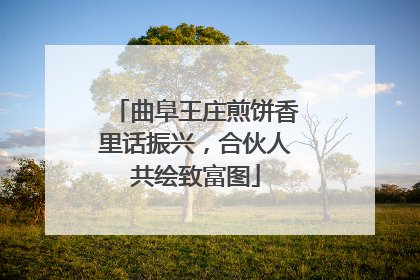 曲阜王庄煎饼香里话振兴，合伙人共绘致富图