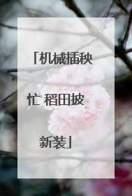 机械插秧忙 稻田披新装